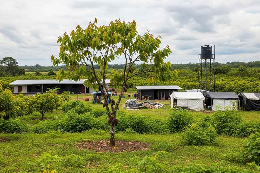 Farmland For Sale in Nigeria